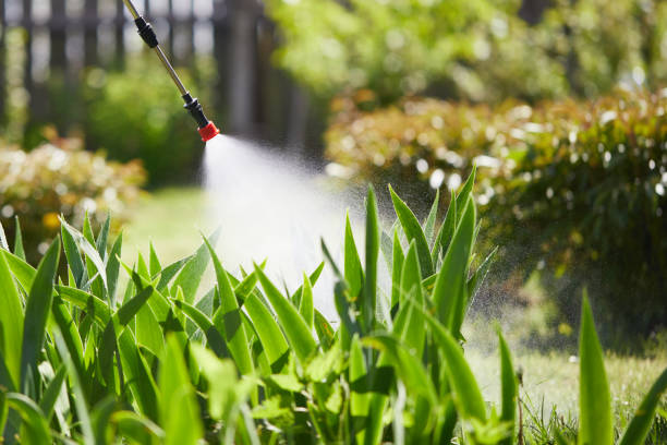24/7 Emergency Wasp Removal experts in Milford, IN