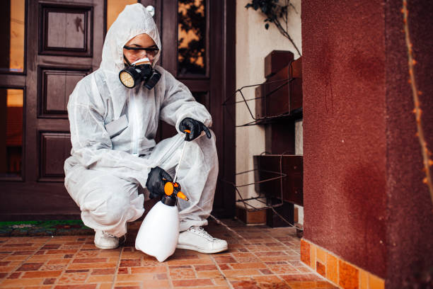 Reliable Wasp Removal contractor in Milford, IN by Show Me Pest Control